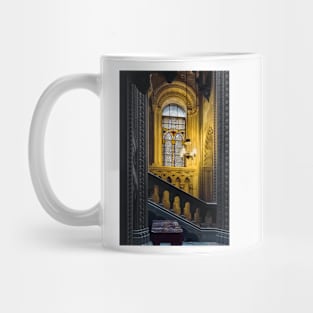 Penrhyn castle- window3 Mug